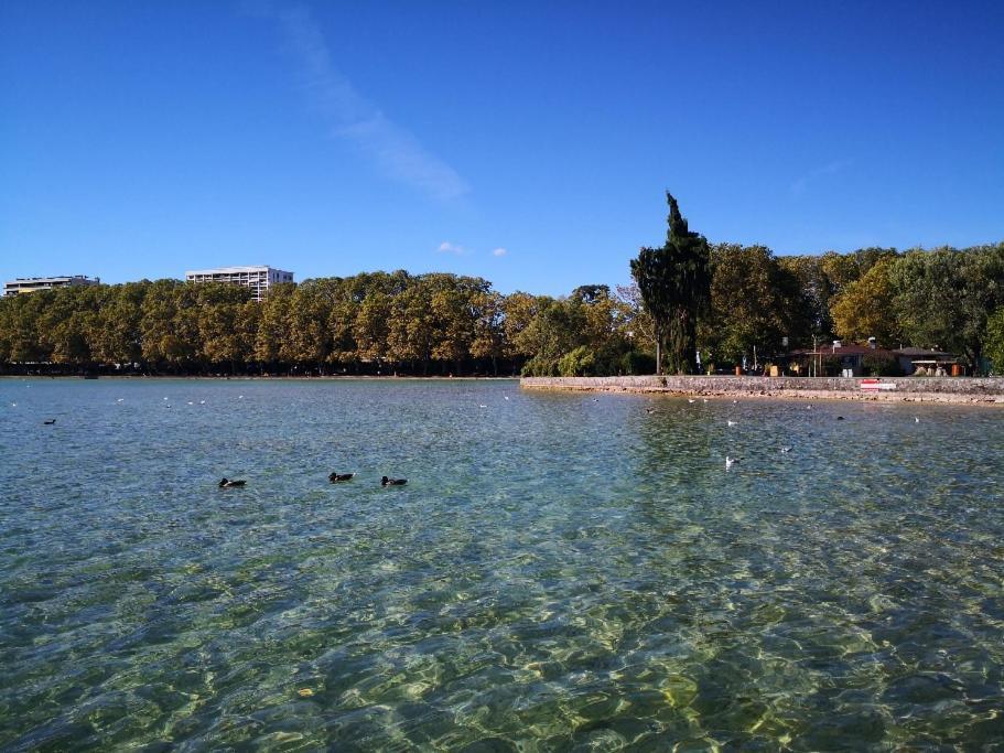 Studio Moderne, Place Parking Prive, Emplacement Ideal A 100 M Du Lac. Annecy Esterno foto